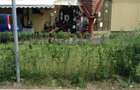 Spatiu Comercial 100 mp Triaj - 8