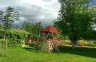 Ciopani vila 5 camere teren 4000 mp - 11