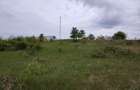 Teren intravilan 1800 mp, Centura-Ciurbesti-dubla deschidere - 8