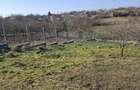 Teren 2.050 mp cu casă și proiect aprobat | Acces din două străzi | Negru Vodă - 7