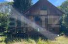 Cabana cu parau si brazi maturi, 1400mp, Valea Fericirii - 5