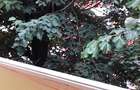 Proprietar, inchiriez apartament 3 camere decomandate in Complexul Studentesc TM - 8