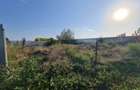 Lot de teren in com. Vanatori, sup.500 mp - 6