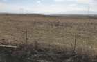 Teren de vanzare 20.000 mp pretabil benzinarie centura, direct de la proprietar! - 4
