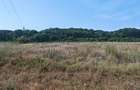Teren Corbeanca – Balotești, 35.000 mp, lângă pădure și nodul rutier A0. - 5