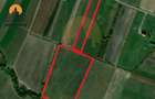 Teren intravilan Dobolii de Jos 47.700 mp | PUZ+autorizație | POT 50% - 2