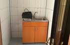 Apartament 2 camere Buziasului - 4