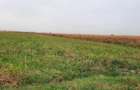 VANZARE TEREN COM. DOMNESTI- SAT. TEGHES - 6