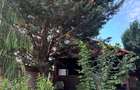 Vila de vanzare ultracentral Focsani, strada N . Titulescu - 7