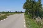 Teren de vanzare  7.400mp Ciolpani -Intravilan 300m de la DN1 -STRADA ASFALTATA  - 1