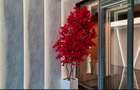 Premium Apartment 2 bedrooms *Lake View* - Floreasca - 5