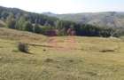 Teren intravilan de vanzare in Breaza (dezvoltare imobiliara) - 7