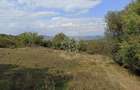 Teren  42,200 mp (4,22 hectare)-Parcelabil-investitie-Valea Jelnei - 1