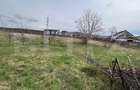 Teren Intravilan de vanzare, 4400 mp, zona Viisoara - 3