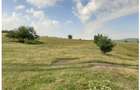 Teren Sercaia  250 ha - 3