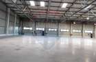 Spațiu industrial Clasa A - Otopeni Hala productie depozitare - 6