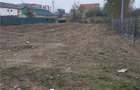 TEREN 800 mp  |  KAMSAS  |  BABA NOVAC - 1