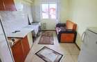 Vanzare apartament 2 camere decomandat, Malu Rosu, parter inalt - 10