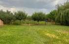 RECO Casa gata de mutat, zona Tileagd, - 10