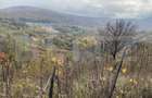 Teren extravilan suparfata 787 mp in zona Bradet - 2