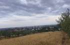 TEREN PAULESTI//10.000 MP - 2