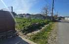 Exclusivitate-Vadu, zona centrala, casa 75mp, teren 1917 mp/31ml deschidere - 38