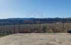 TEREN CU PLANTAȚIE DE TRANDAFIRI ,,ROSA DAMASCENA,\ \CARANSEBEȘ\JUD.CS - 5