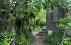 Proprietate de Vânzare în Sat Dalga, Comuna Calopăr - 2900 mp | Două Case + Plan - 3