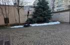 Timpuri Noi, 10 minute metrou, pe Cuza Voda, vila exclusivista P+1+M, lux, - 4