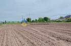 Teren- Com. Stefan cel Mare- jud. Neamt - 10