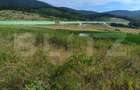 Teren extravilan, de vanzare, 6500 mp,  zona Crasnei - 3