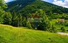 Teren intravilan 2500mp | Zărnești | Parcul Național Piatra Craiului - 1