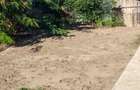 CUMPANA CASA LA ALB  4 CAMERE  TEREN 575 MP PRET 165.000 EURO - 7