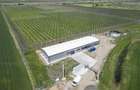 Platformă agro-industrială cu potențial de scalare - 3