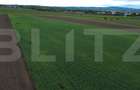 Teren agricol, 5.200 mp, Comuna Sendriceni - 4