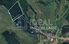 Pădure matură 12,71 ha - Mag, jud. Sibiu - potențial exploatare 2025 - 1