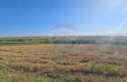 Teren intravilan, 7500 mp in Moara Carp / Strada Eternitatii-Suceava - 9