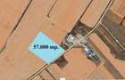 5,7 Ha. vav de Dovinot - Mihailesti, teren intravilan cu deschidere la DN6 - 1