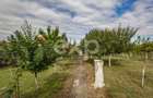 Casă spațioasă cu livadă în Buziaș - 14
