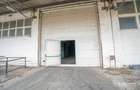 Hala 9500 mp Turda - zona industriala  - 5