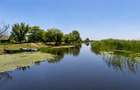 Teren cu deschidere la canal în Letea – 2.557 mp | Delta Dunării | - 5
