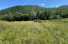 Teren intravilan 4600mp - 55 EUR/mp - EXCLUSIVITATE CISNADIOARA - COMISION 0% - 11