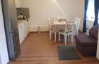Cabana 4 camere zona Valea Avrigului - 7