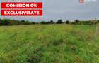 COMISION 0% Teren intravilan 2978 mp la sosea | Sanmihaiu German - ID V5613 - 1