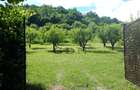 Teren extravilan  de vânzare | 4288 mp | în Gusterița - 1