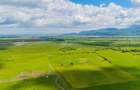 Teren de investiție în zona Tohanul Nou - Bran  5.800 mp - 9