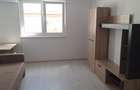 Pet friendly! Garsoniera cocheta de inchiriat, Tractorul, Brasov - 11