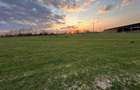 Bocsa Romana, 2 terenuri intravilan, 10.000 Mp.(59.900 Euro) si arabil, 80.000 M - 8