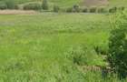 Teren extravilan de vânzare – Brăteni acces la Lac - 3