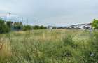 Teren intravilan, 7441mp, zona Lidl Cetate - 1